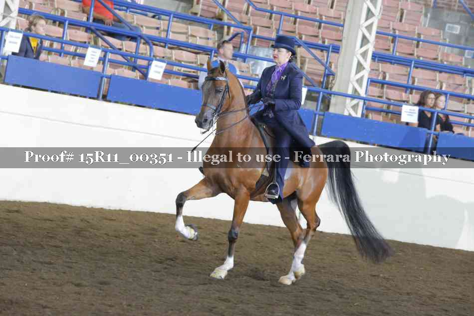 Proof 15R11_00351