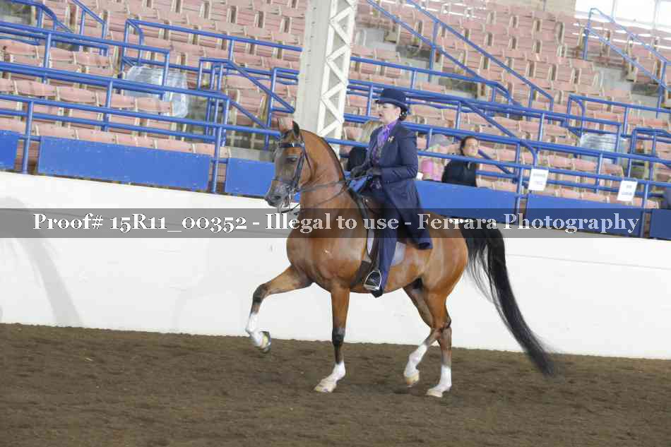 Proof 15R11_00352