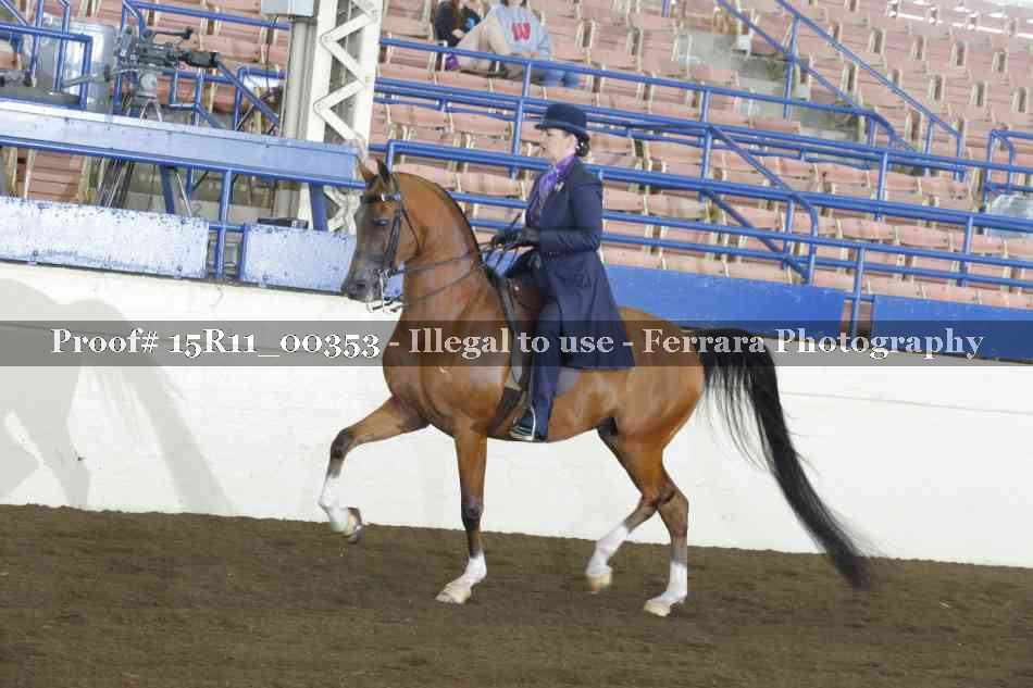Proof 15R11_00353