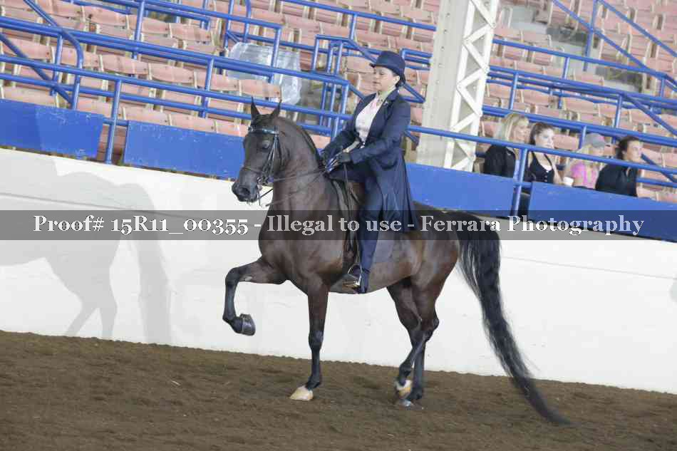 Proof 15R11_00355