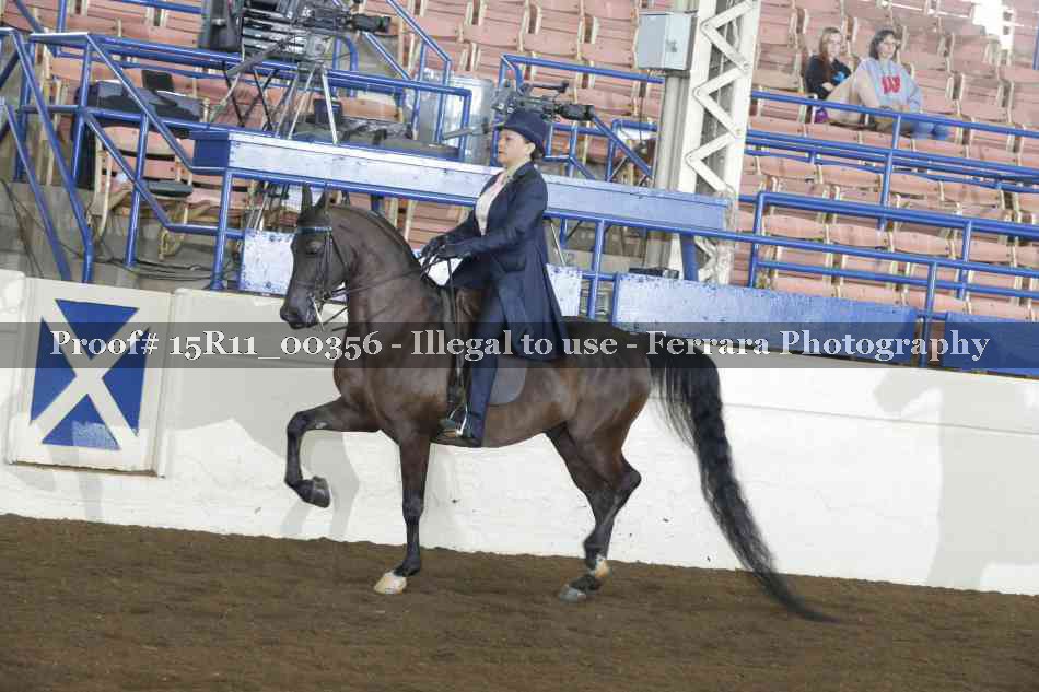 Proof 15R11_00356