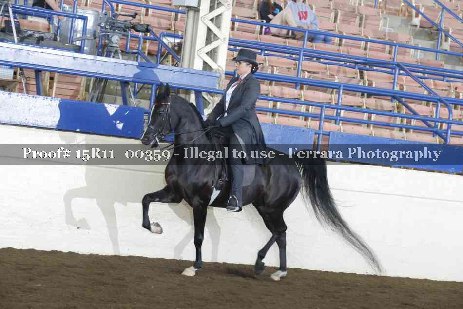 Proof 15R11_00359