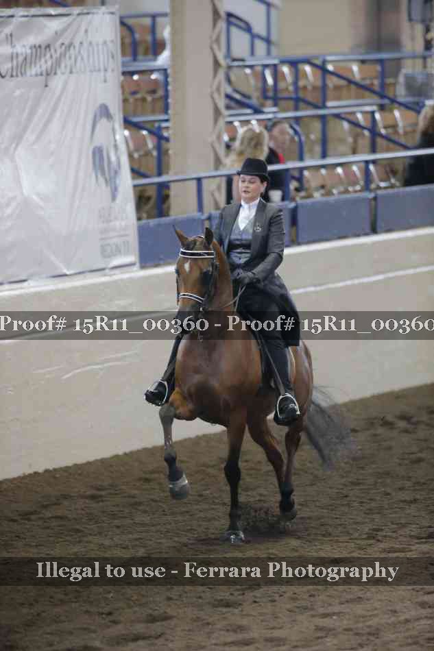Proof 15R11_00360