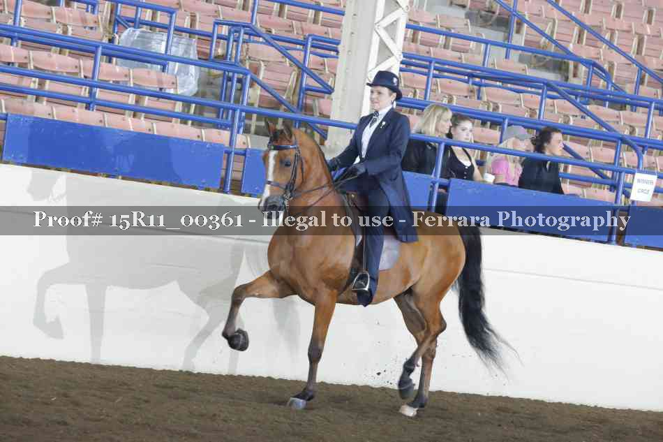 Proof 15R11_00361