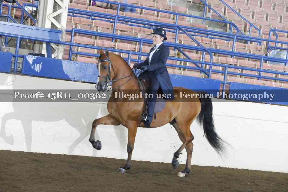 Proof 15R11_00362