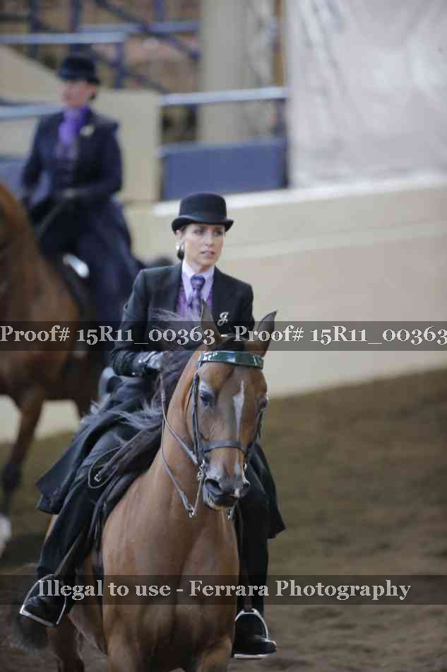 Proof 15R11_00363