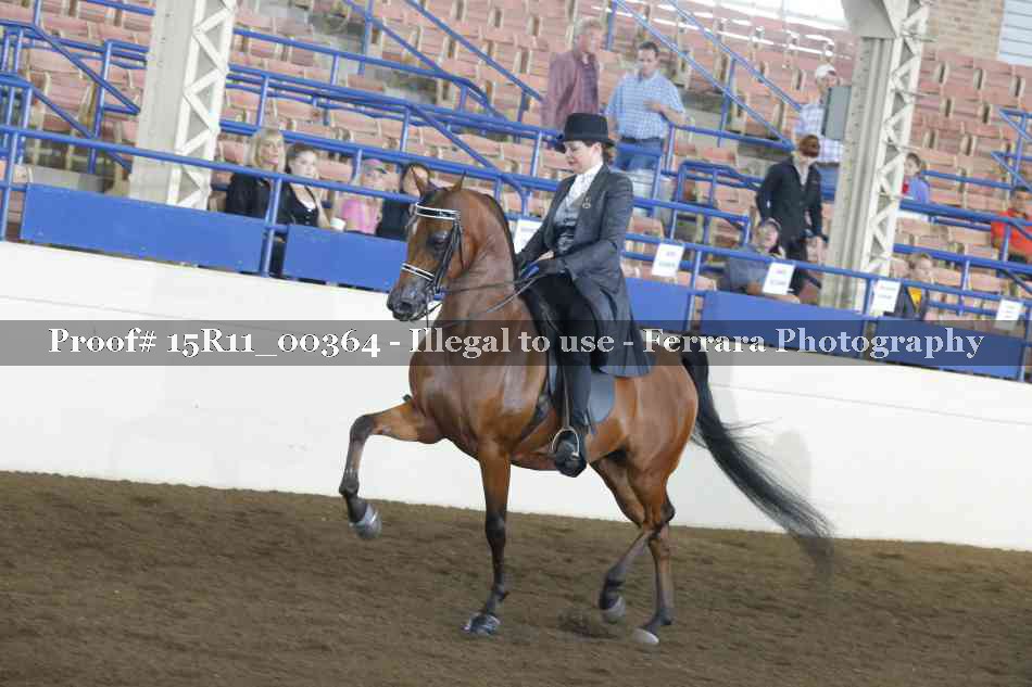 Proof 15R11_00364