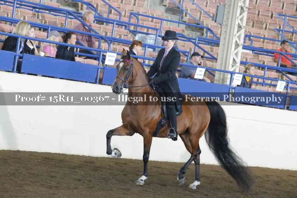 Proof 15R11_00367