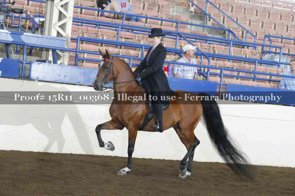 Proof 15R11_00368