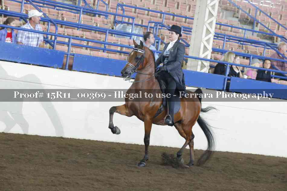 Proof 15R11_00369