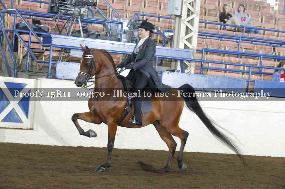 Proof 15R11_00370