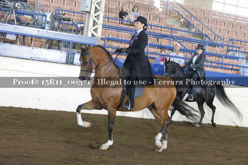 Proof 15R11_00371