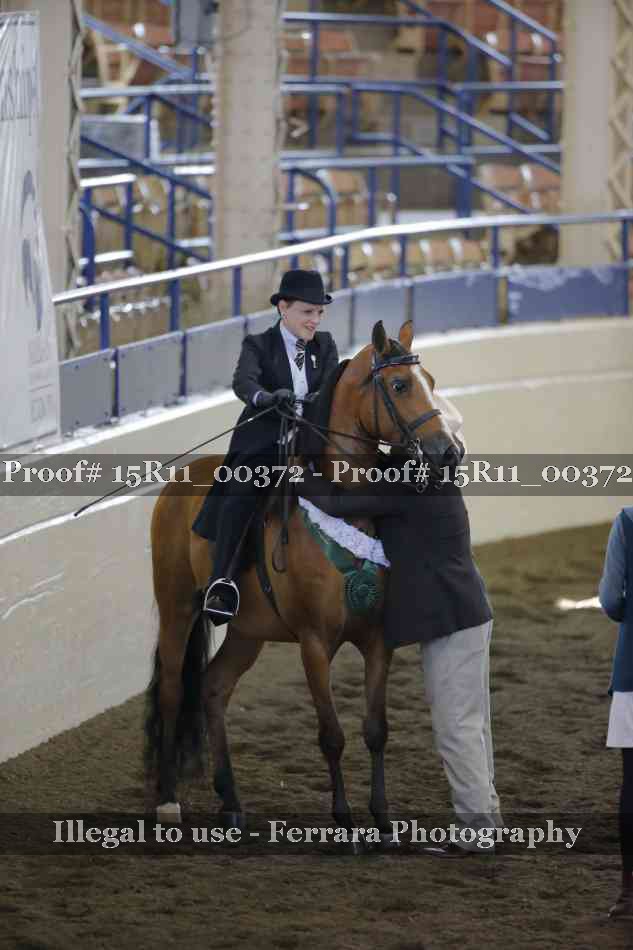 Proof 15R11_00372