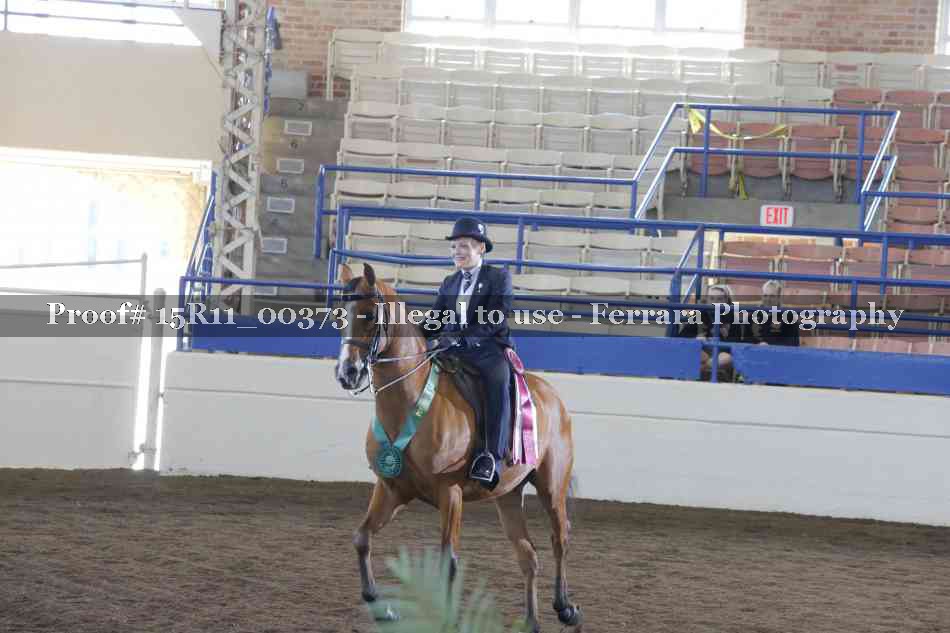 Proof 15R11_00373