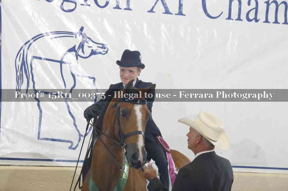 Proof 15R11_00375