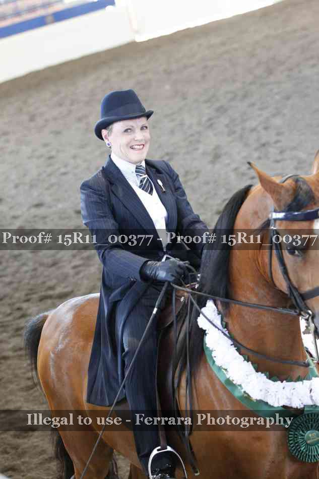 Proof 15R11_00377