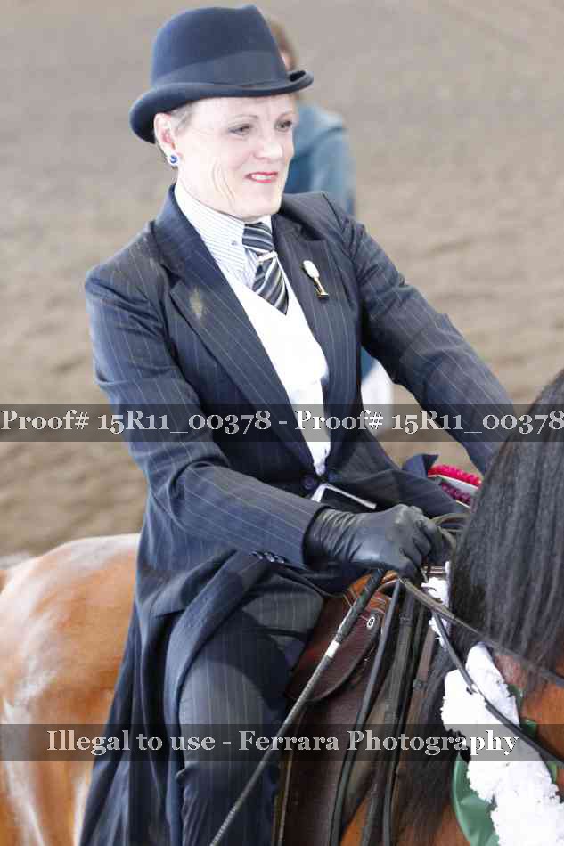 Proof 15R11_00378
