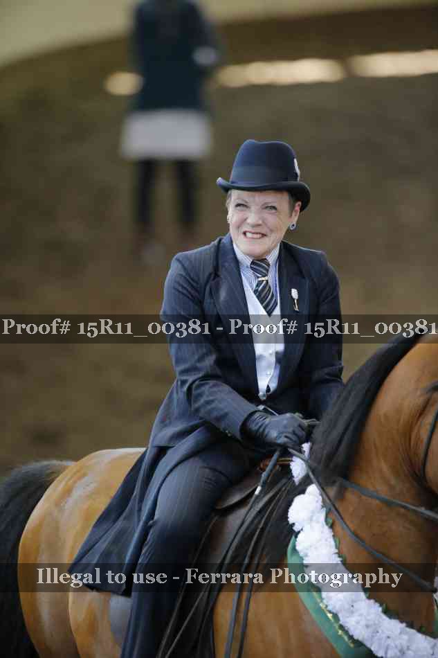 Proof 15R11_00381