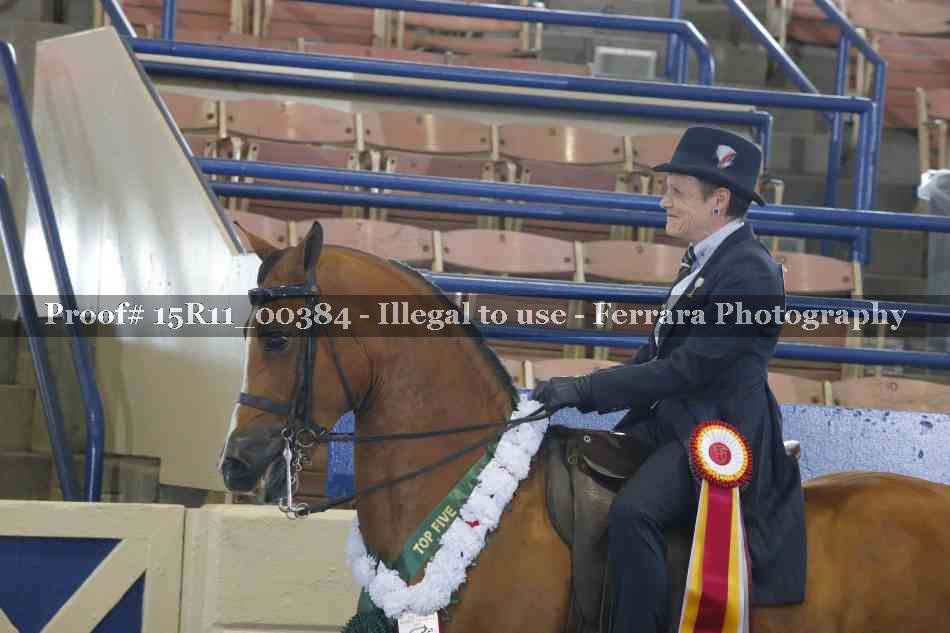 Proof 15R11_00384