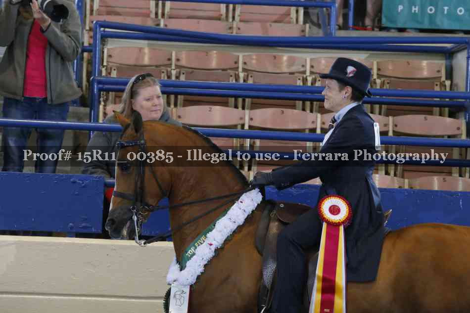 Proof 15R11_00385