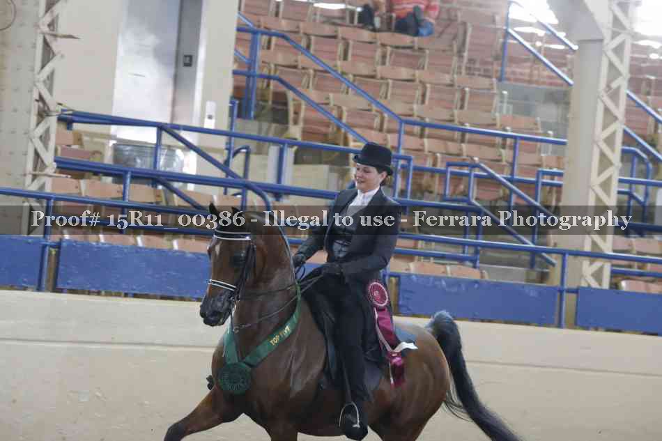 Proof 15R11_00386