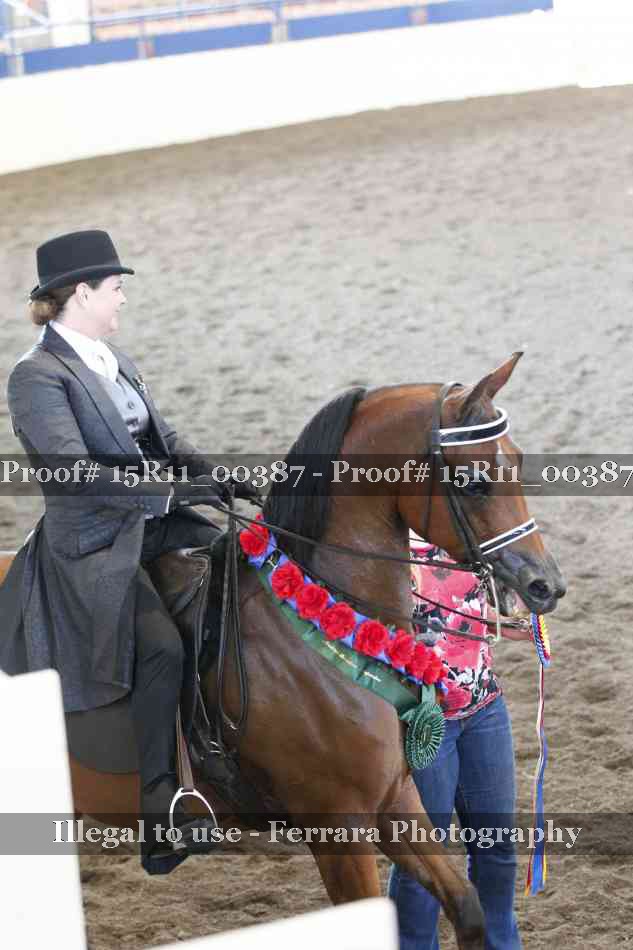 Proof 15R11_00387