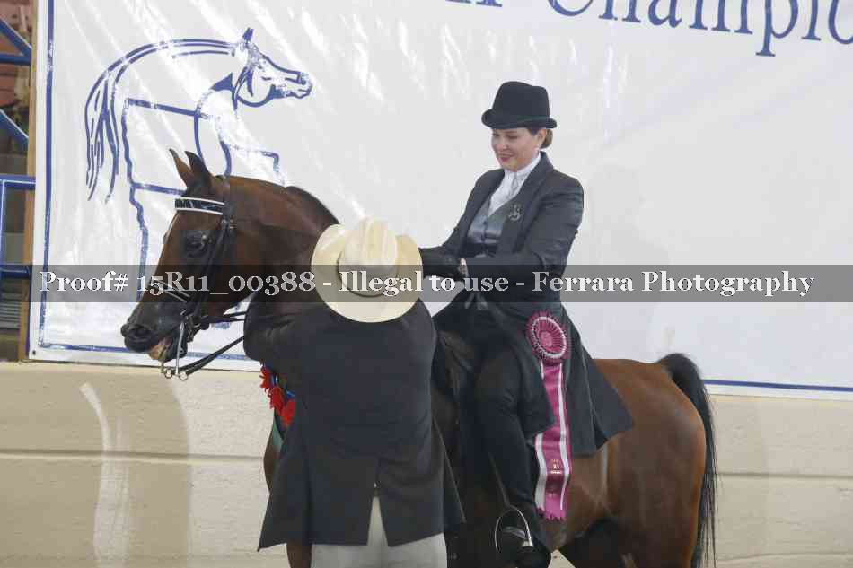 Proof 15R11_00388