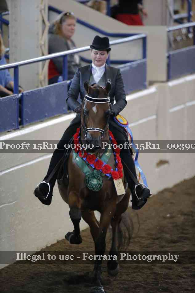 Proof 15R11_00390