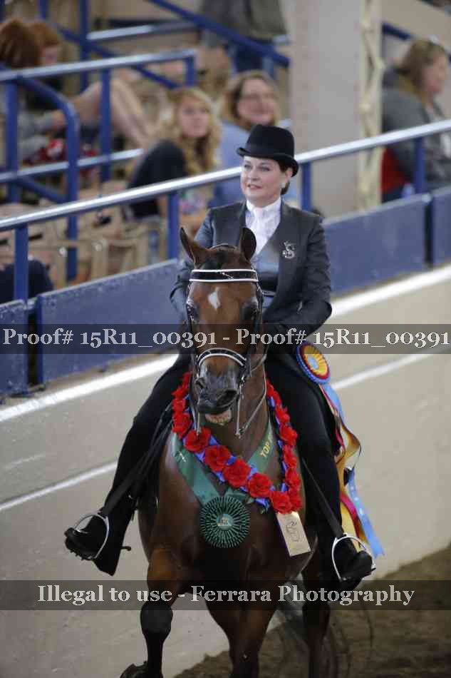 Proof 15R11_00391