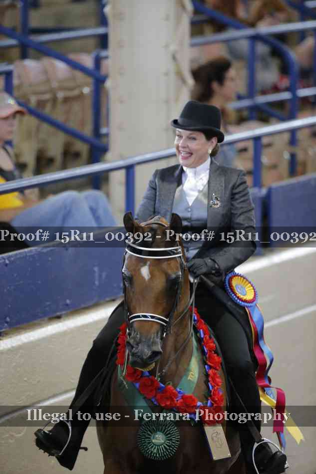 Proof 15R11_00392