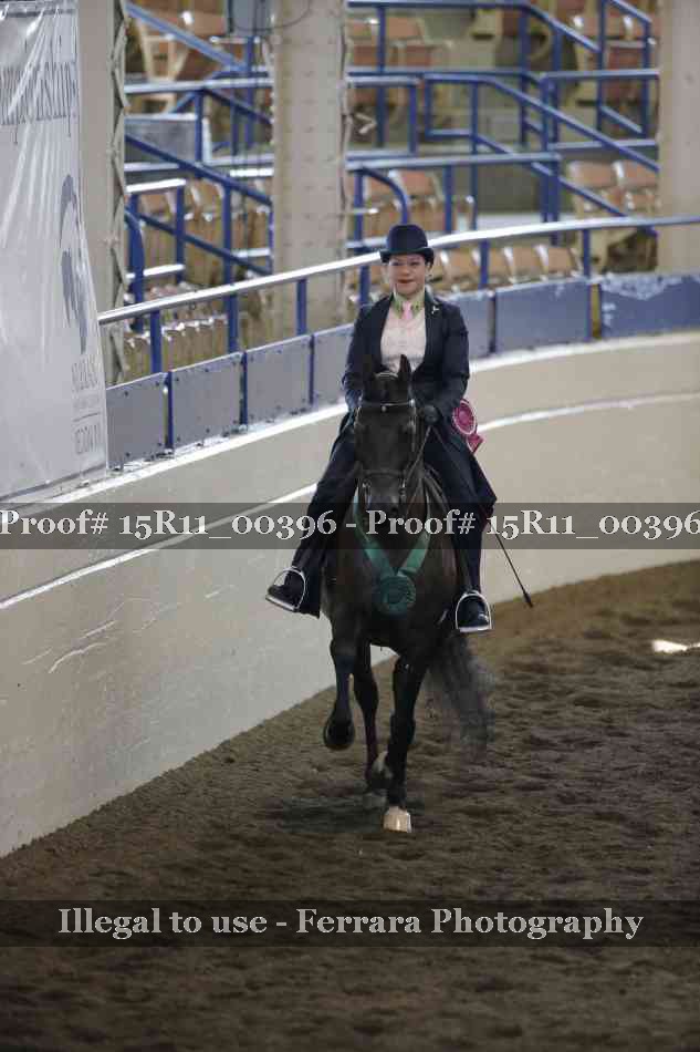 Proof 15R11_00396