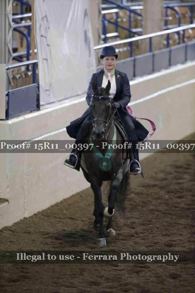 Proof 15R11_00397