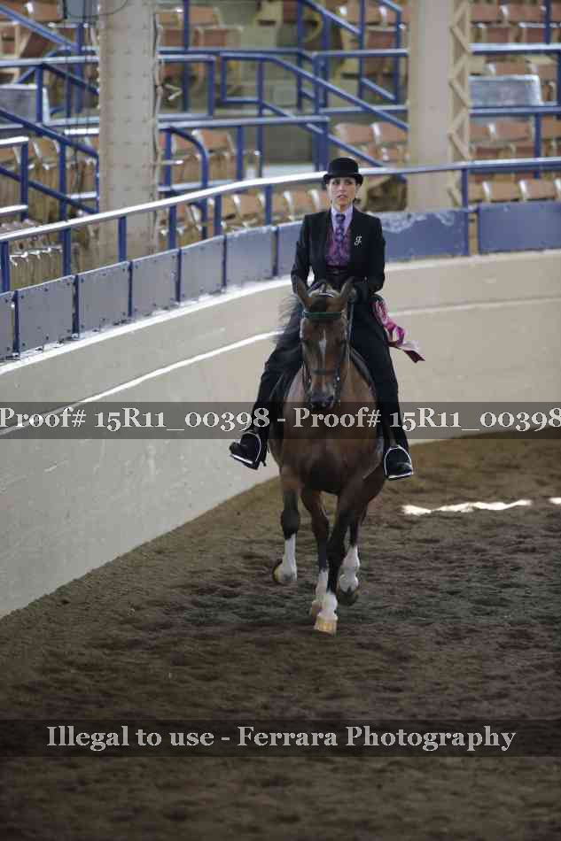 Proof 15R11_00398