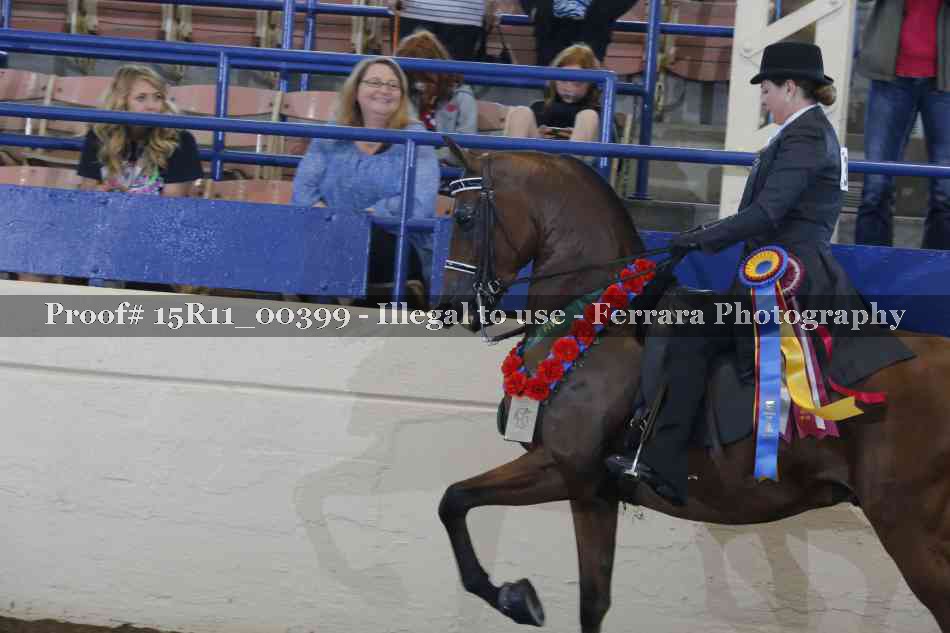 Proof 15R11_00399