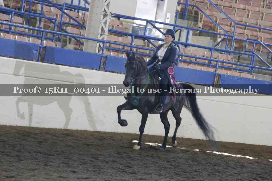 Proof 15R11_00401