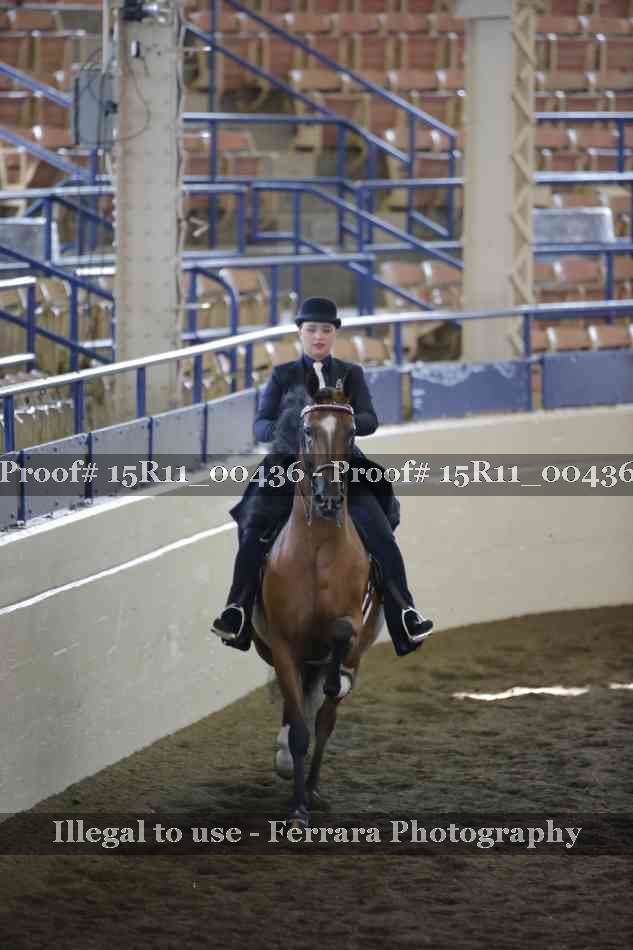 Proof 15R11_00436