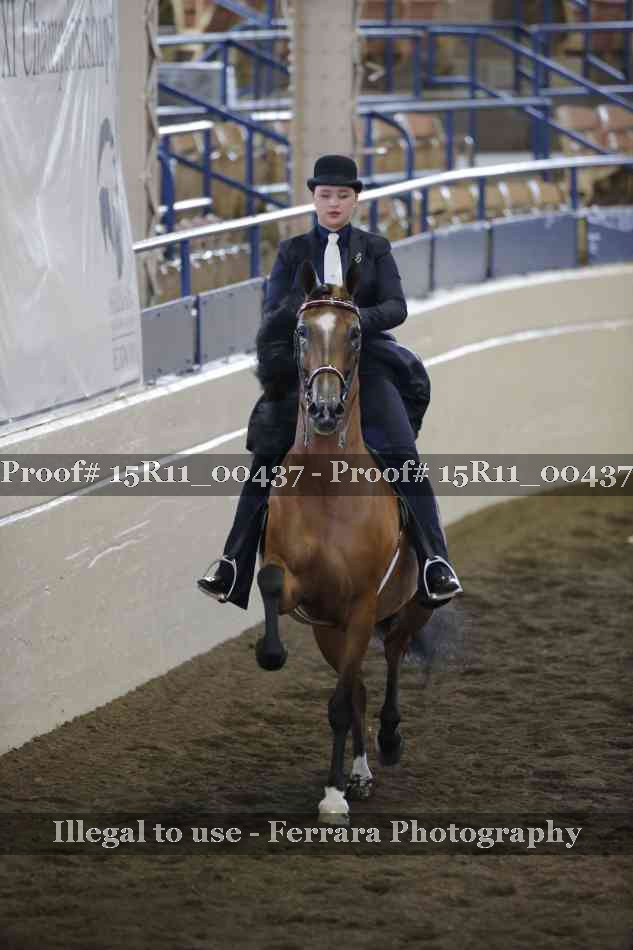 Proof 15R11_00437