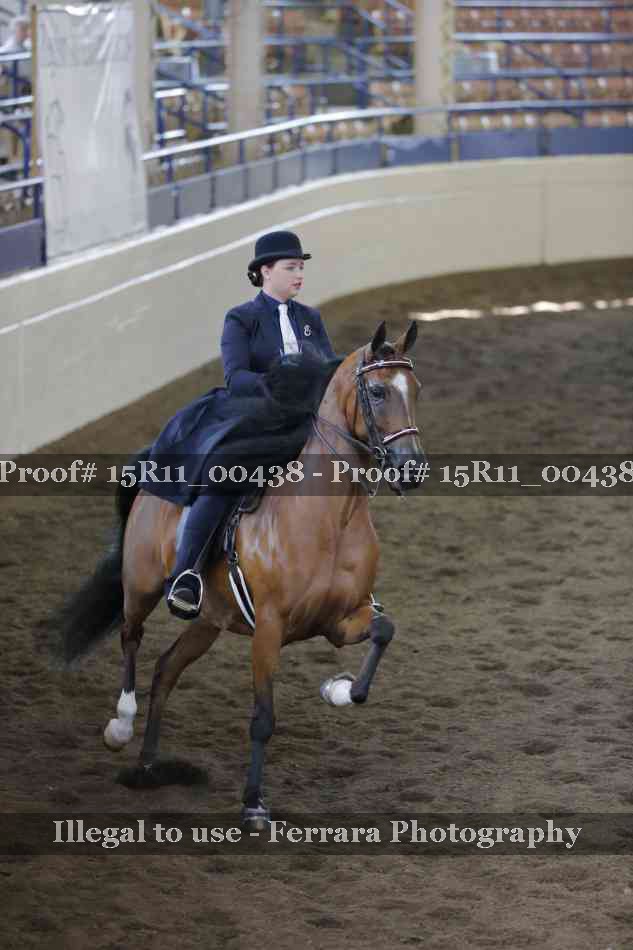 Proof 15R11_00438