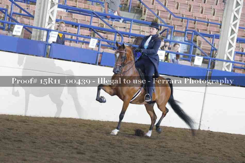 Proof 15R11_00439