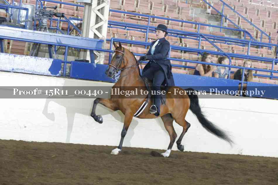 Proof 15R11_00440