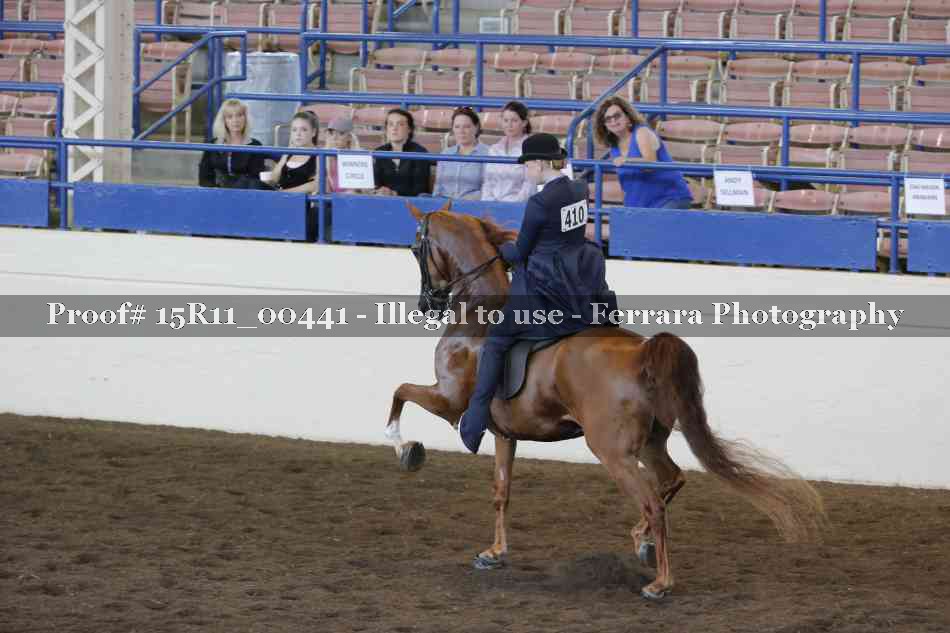 Proof 15R11_00441