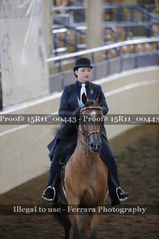 Proof 15R11_00443