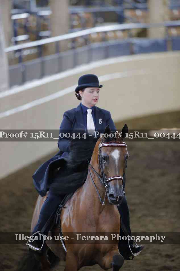 Proof 15R11_00444