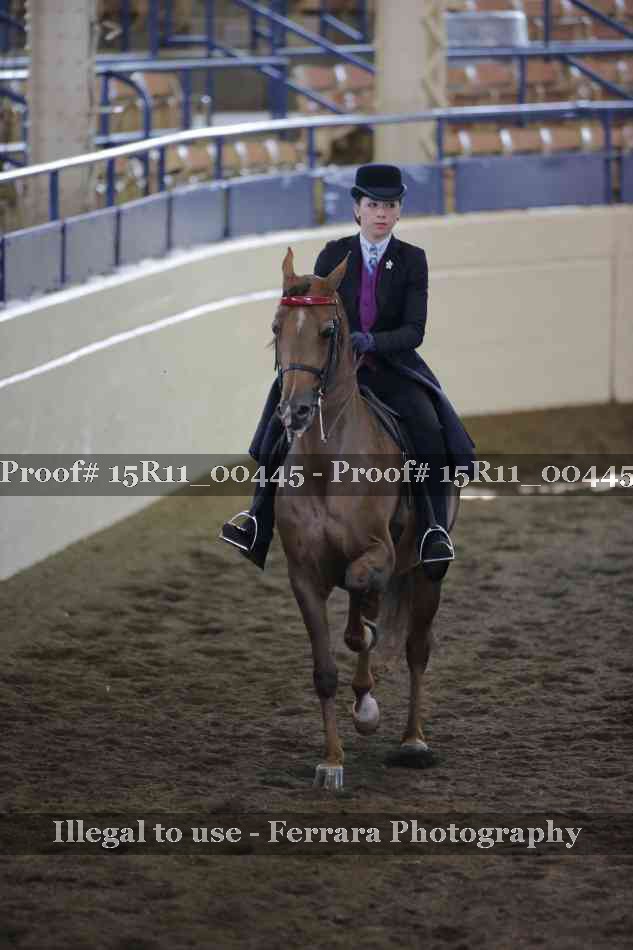 Proof 15R11_00445