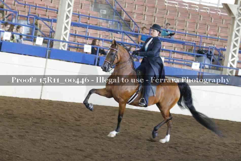 Proof 15R11_00446