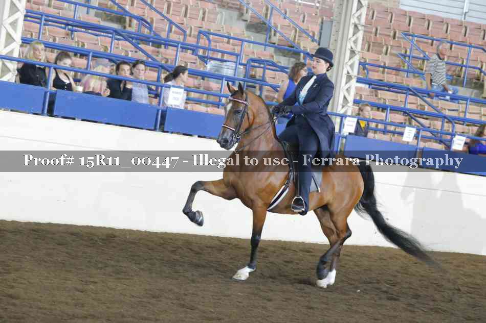 Proof 15R11_00447