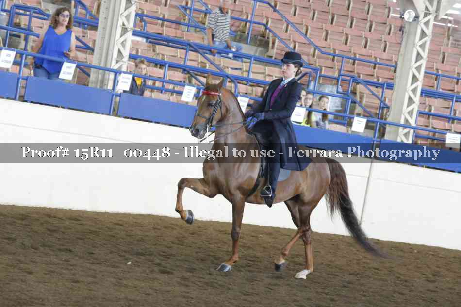 Proof 15R11_00448