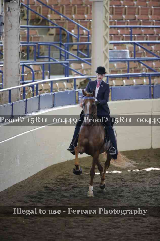 Proof 15R11_00449