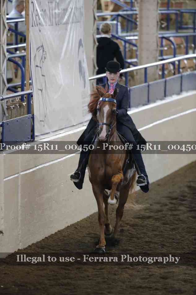 Proof 15R11_00450