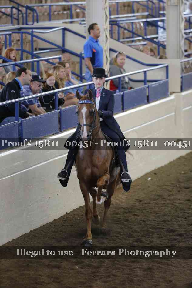 Proof 15R11_00451